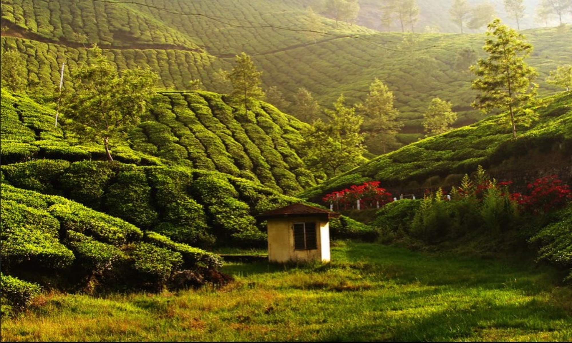 munnar nearby tourist places