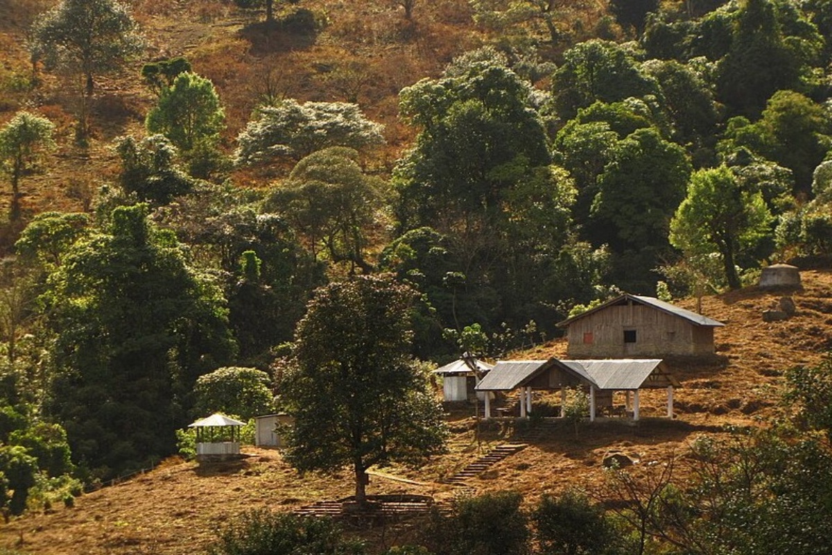 Dzukou Valley Guide: Trek to Northeast India's Valley of Flowers ...