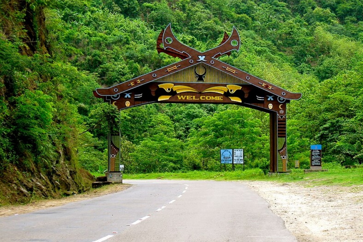 Dzukou Valley Guide: Trek to Northeast India's Valley of Flower…
