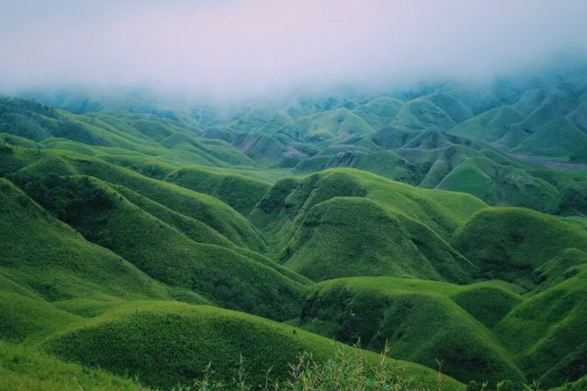 Dzukou Valley Guide: Trek to Northeast India's Valley of Flowers ...