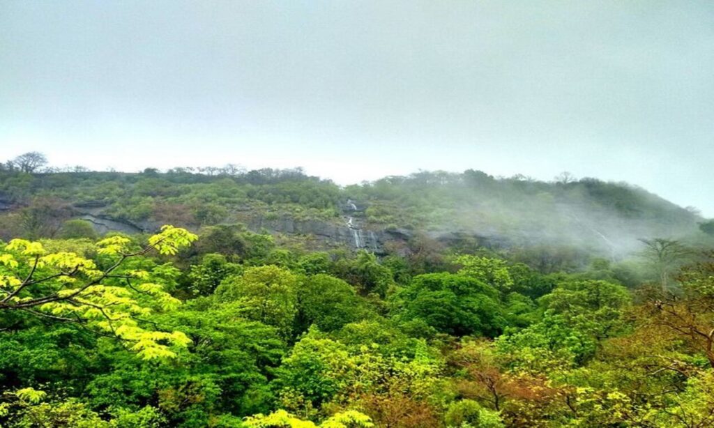 Sanjay Gandhi National Park