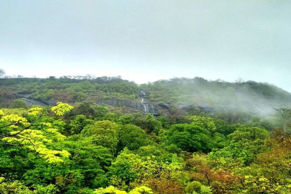 Sanjay Gandhi National Park