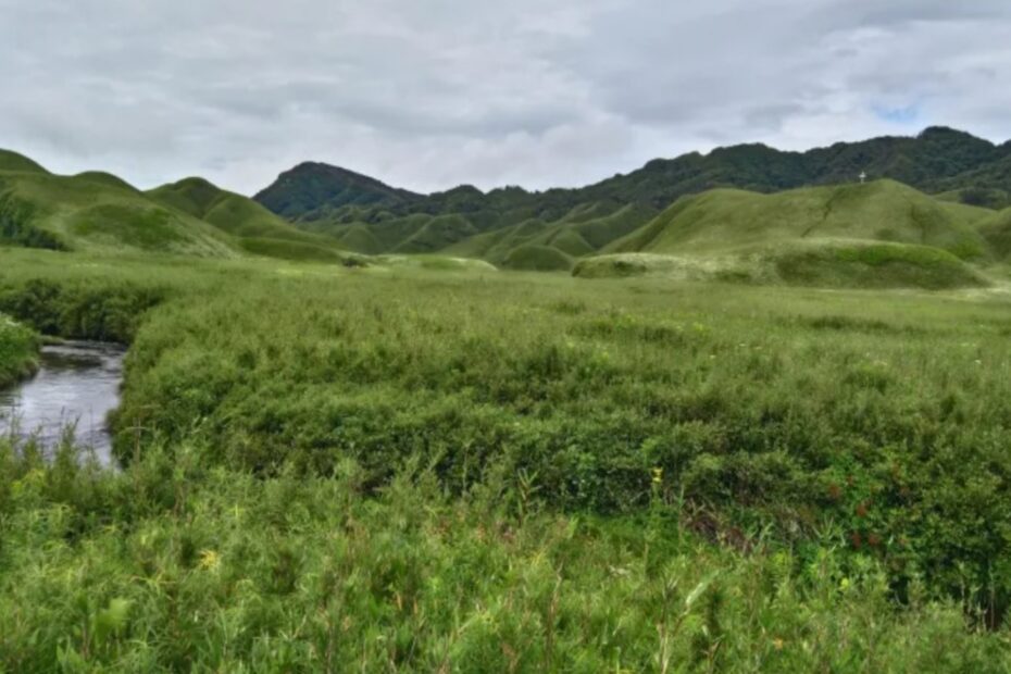 Dzukou Valley