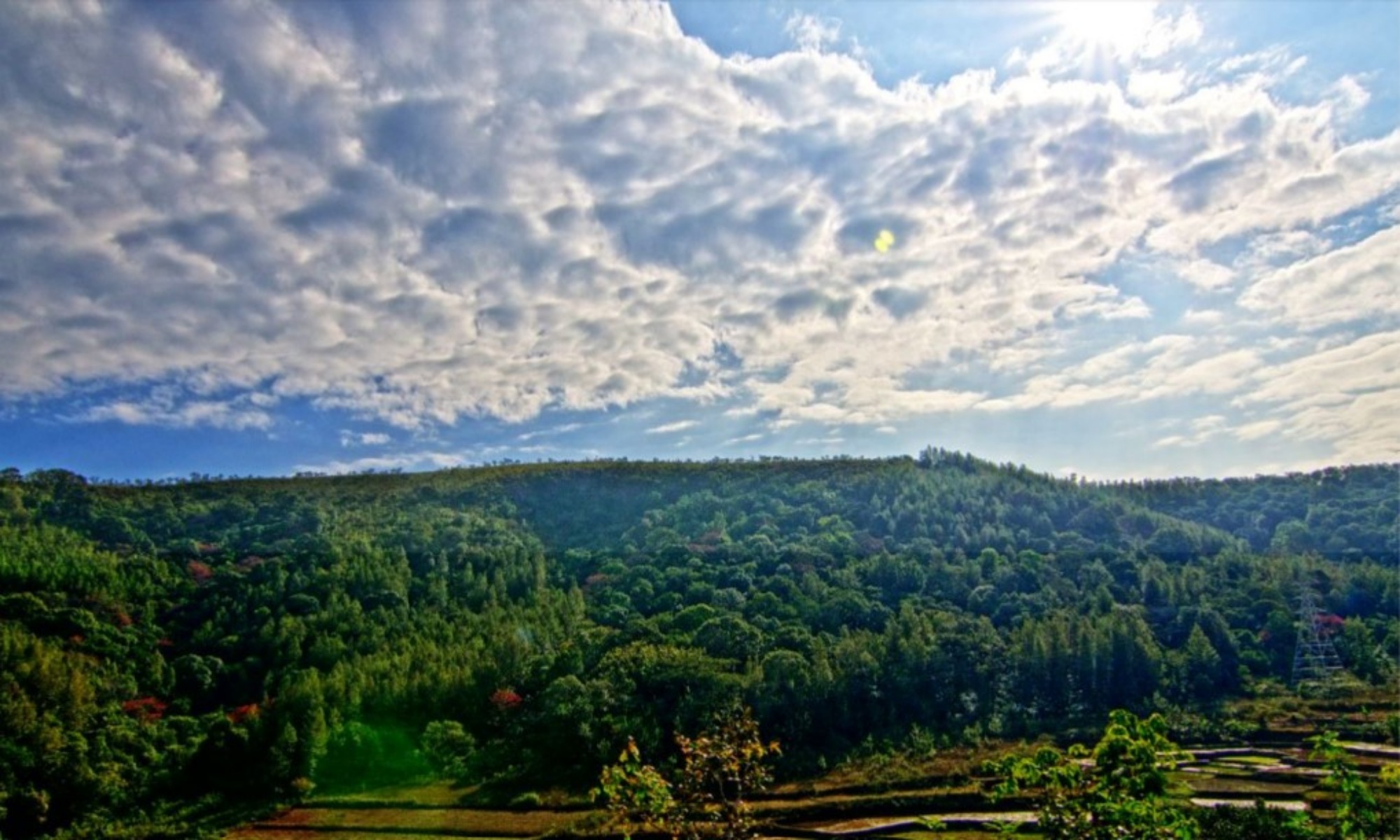 Ananthagiri Hills