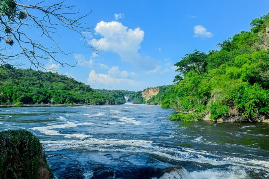 longest river in the world