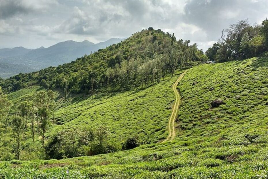 Wayanad tourist places