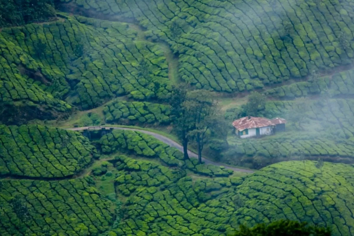 1. Munnar