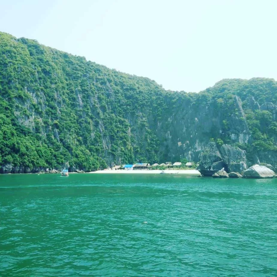 11910434 1243395595686616 6052568 N 1