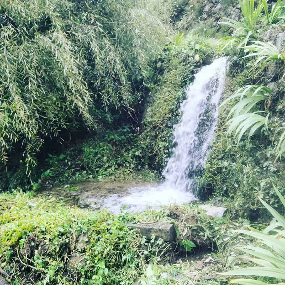 12141824 542902485875729 499103304 N 1