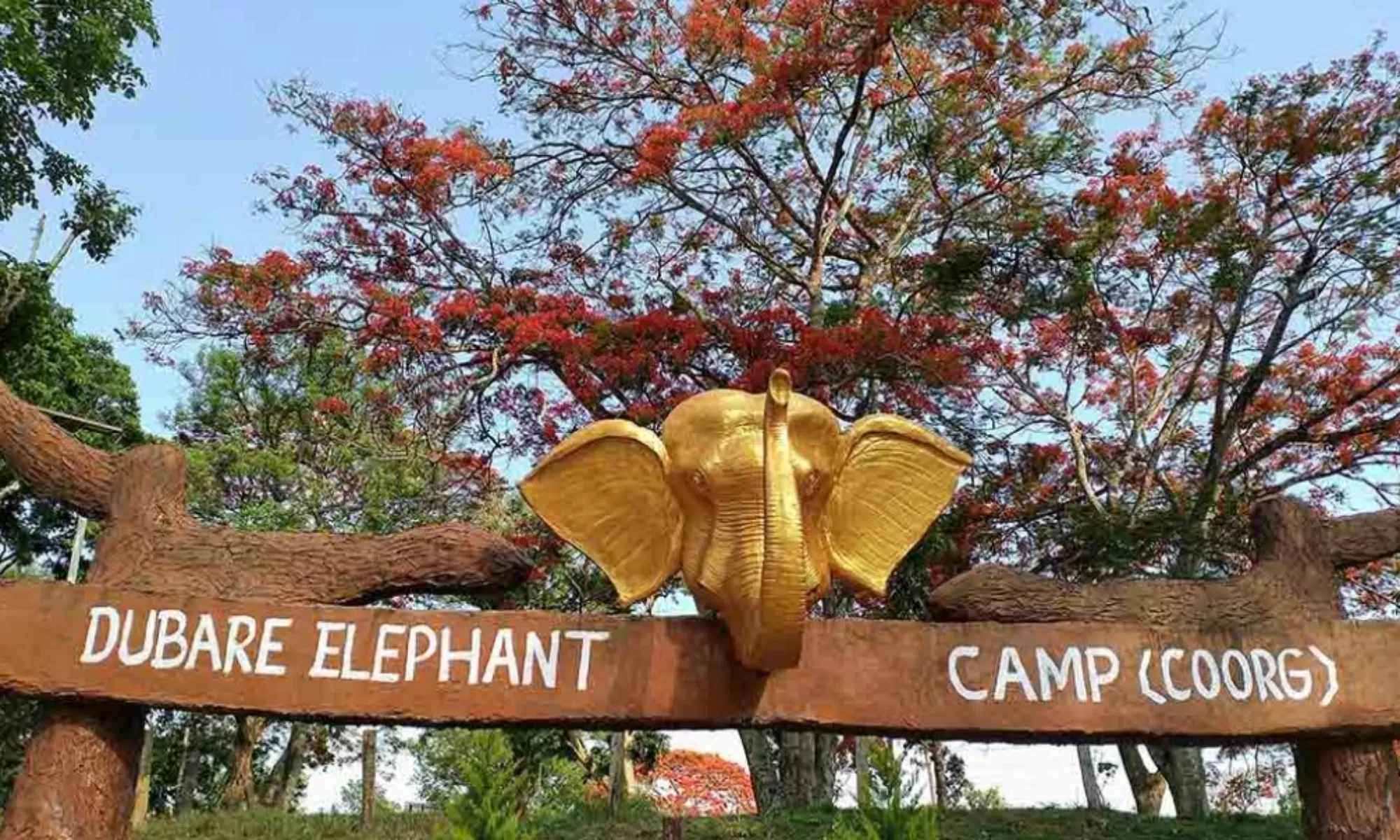 Best 5 Day Coorg Itinerary