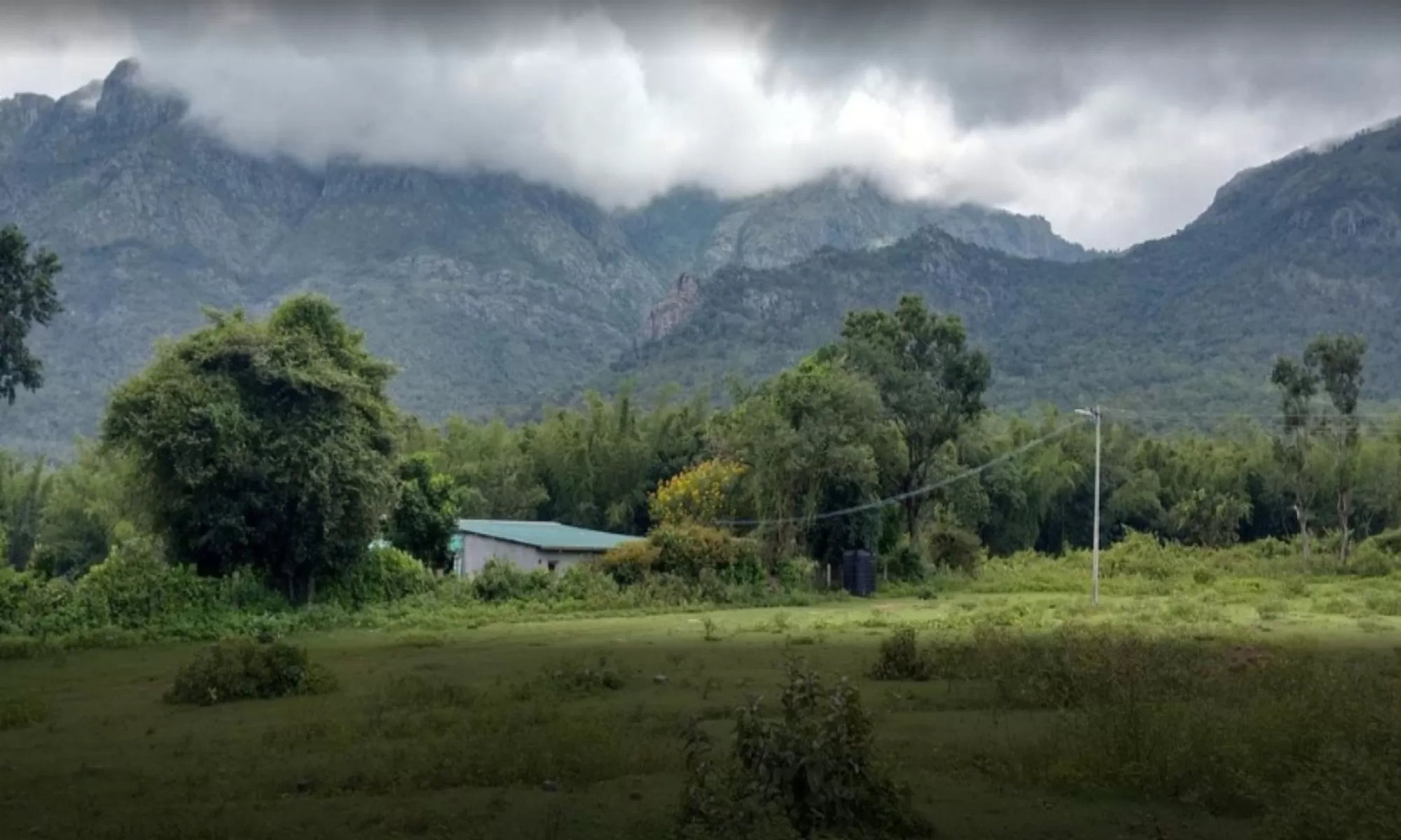 5-day Masinagudi itinerary