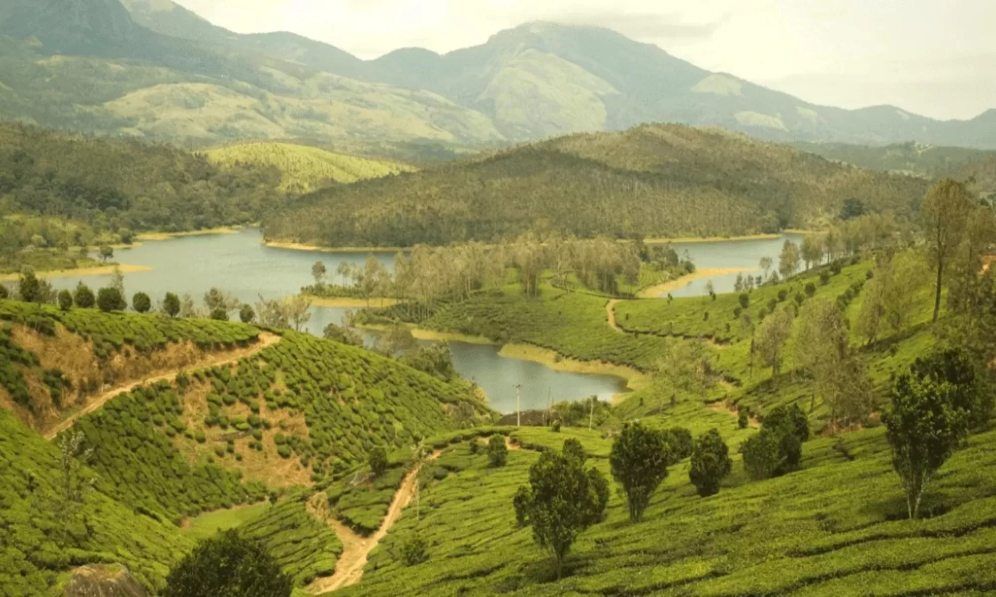 Best 5 Day Yelagiri Itinerary Feature Image 1
