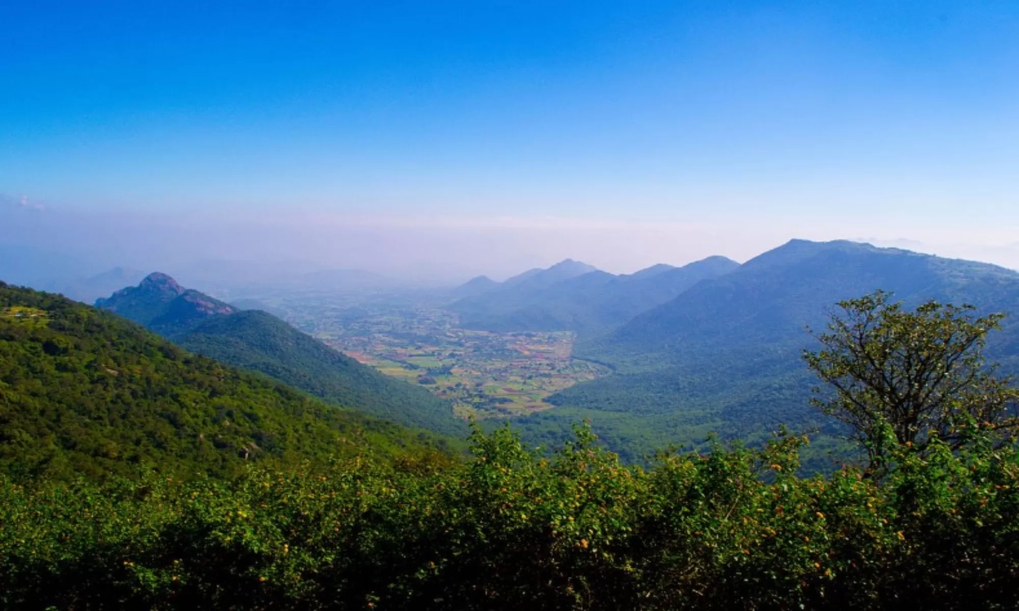 Best 5 Day Yercaud Itinerary Feature Image