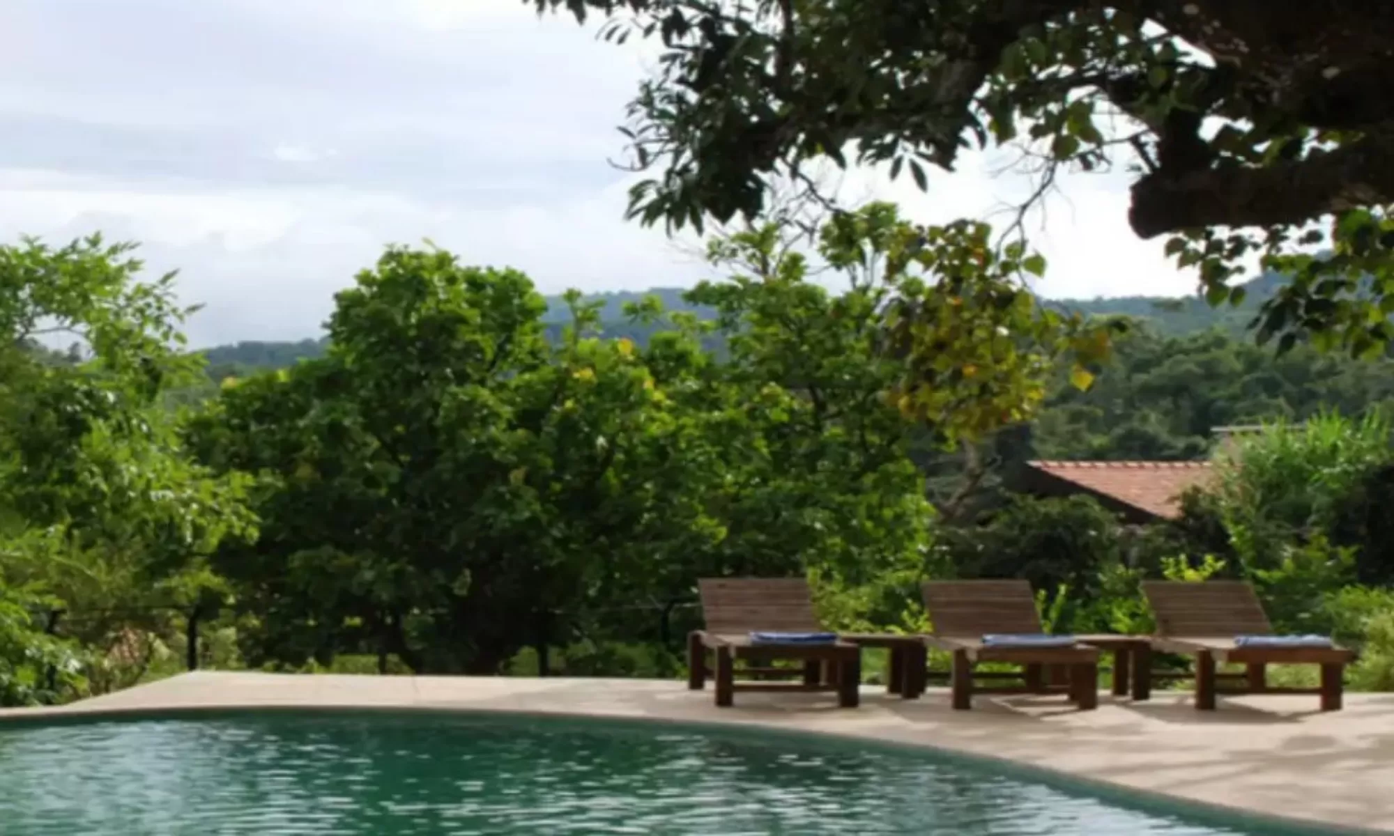 Best Hotels In Chikmagalur Feature Image