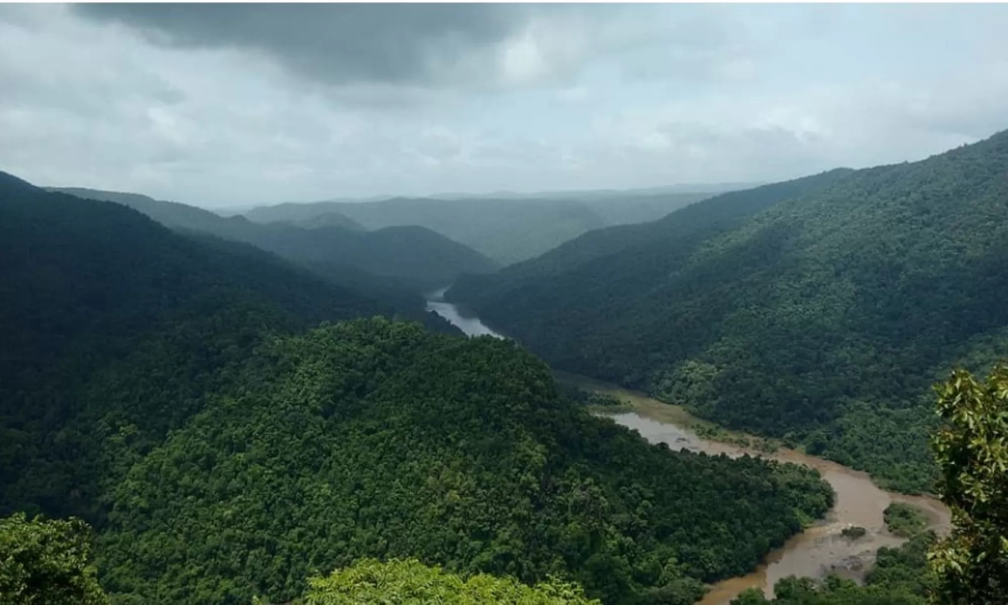 Best Hotels In Dandeli Feature Image