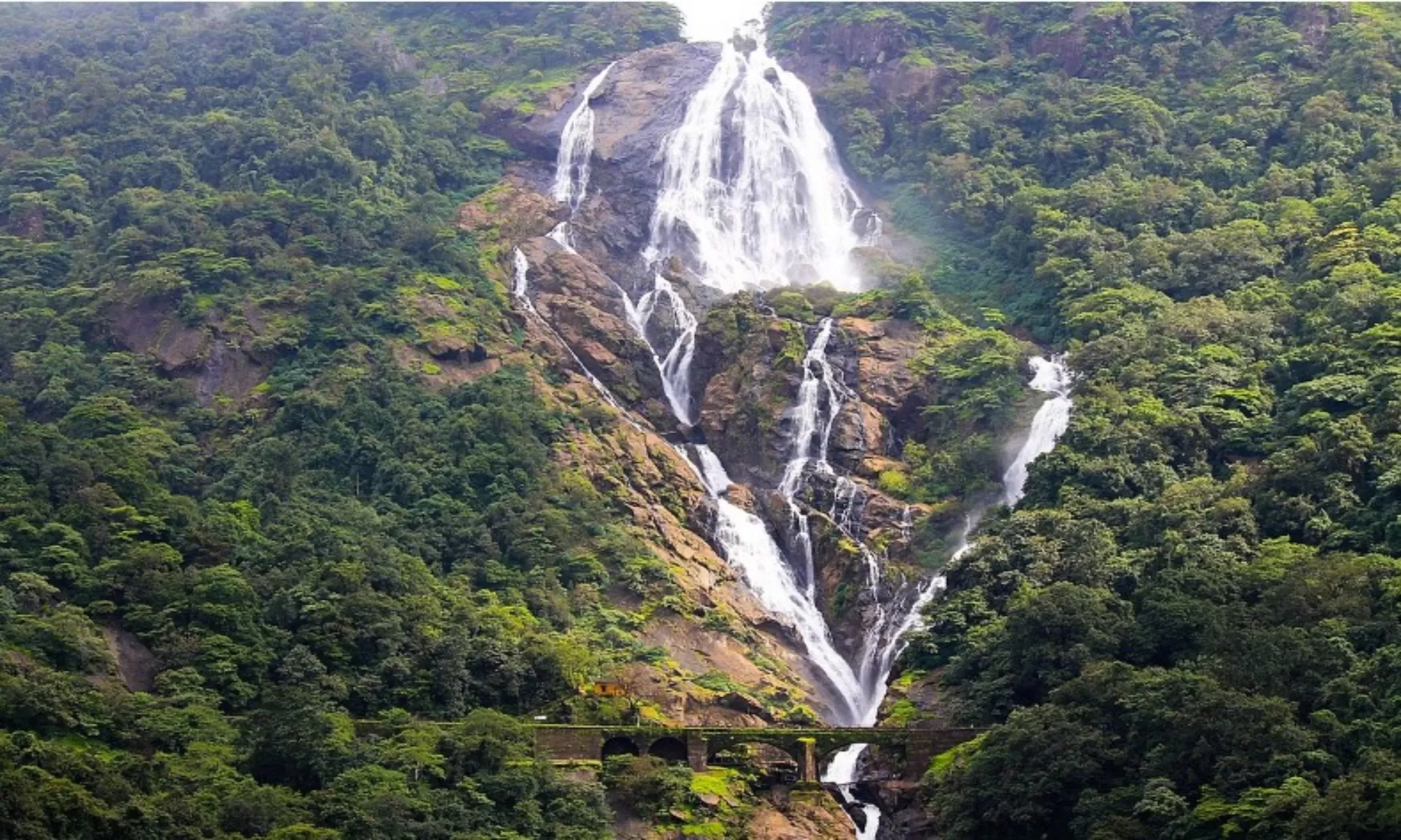 Best Hotels In Dudhsagar Feature Image 3