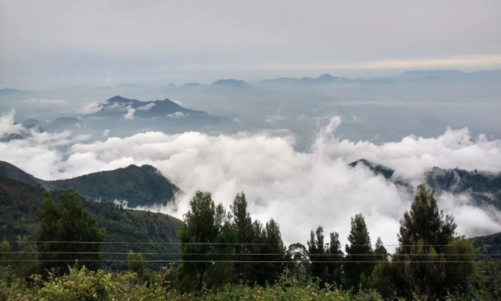 Best Hotels In Kodaikanal Feature Image 1