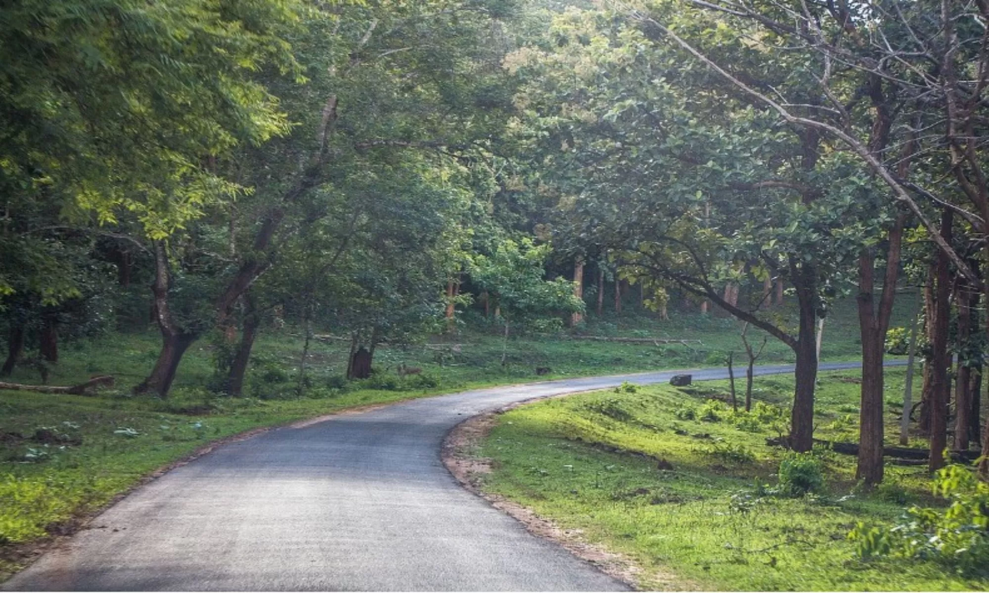 Best Hotels In Nagerhole Feature Image