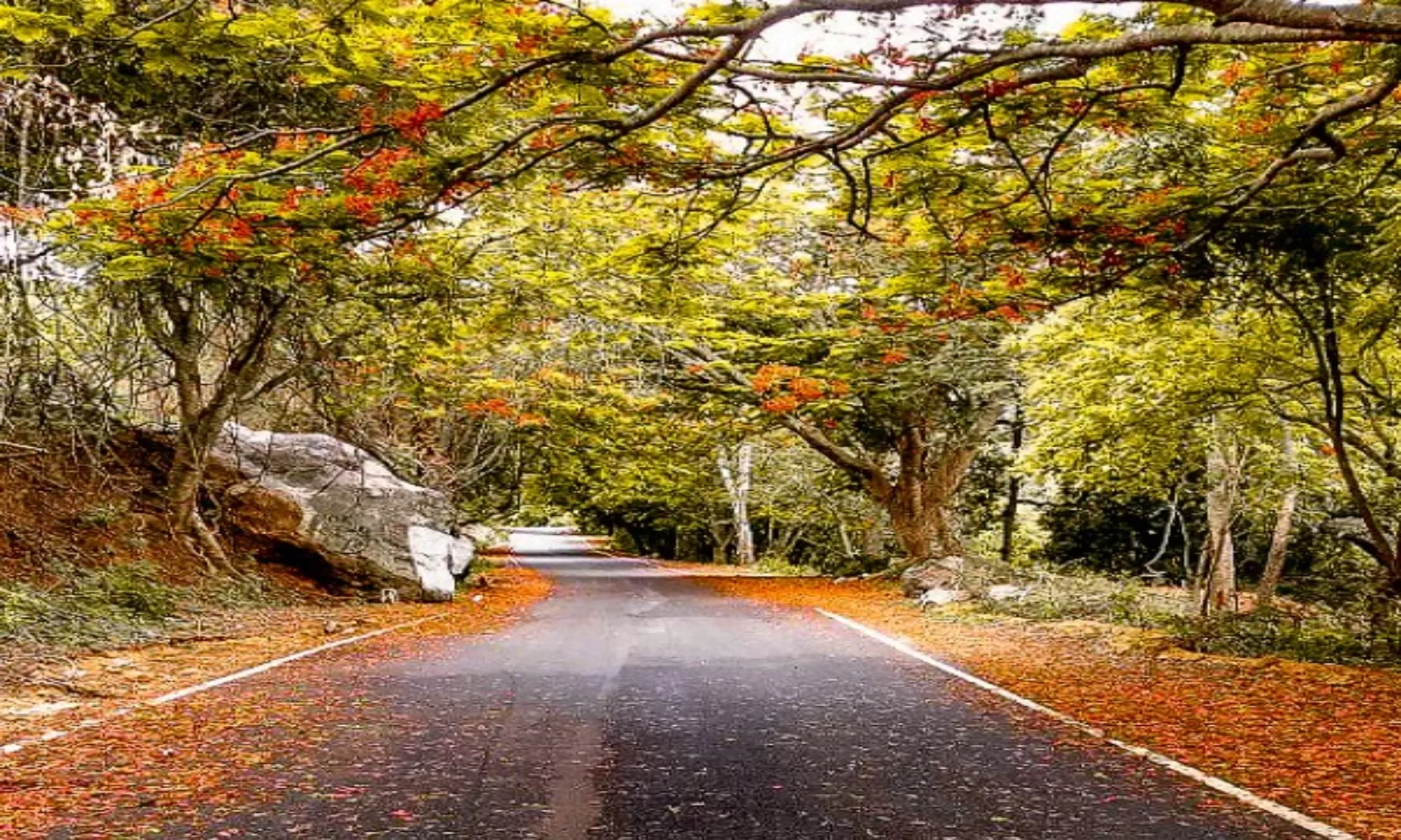 how to reach Horsley Hills