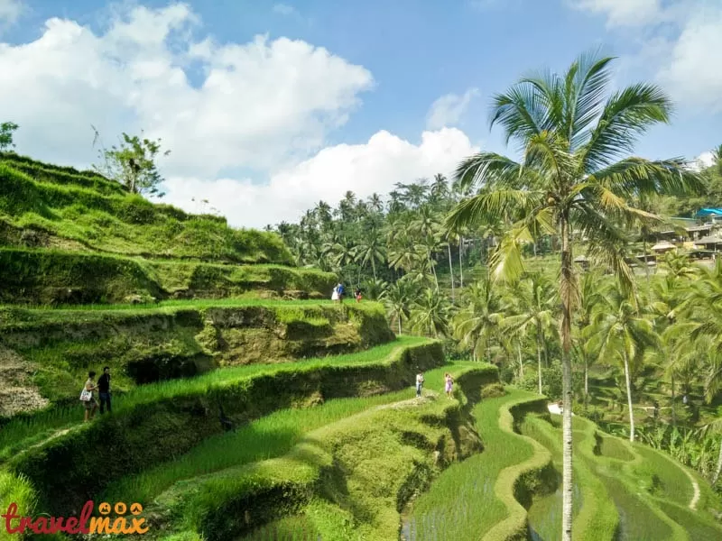 IMG 20150920 095059 1