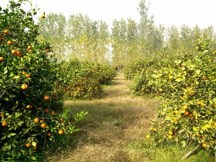 IMG 20151217 1116281 1