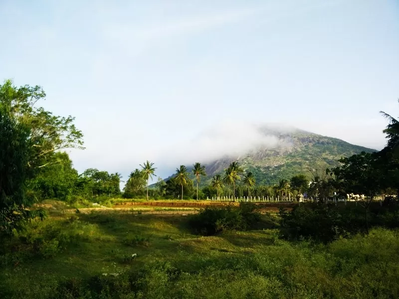 Nandi Hills1 1