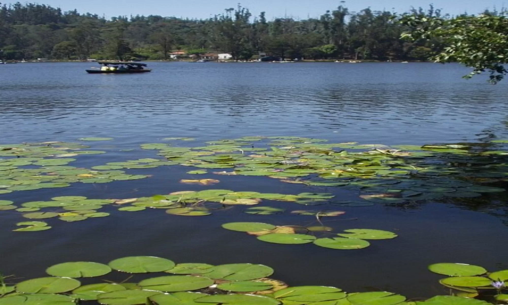 Top 12 Places To Visit Near Kodaikanal Feature Image 1