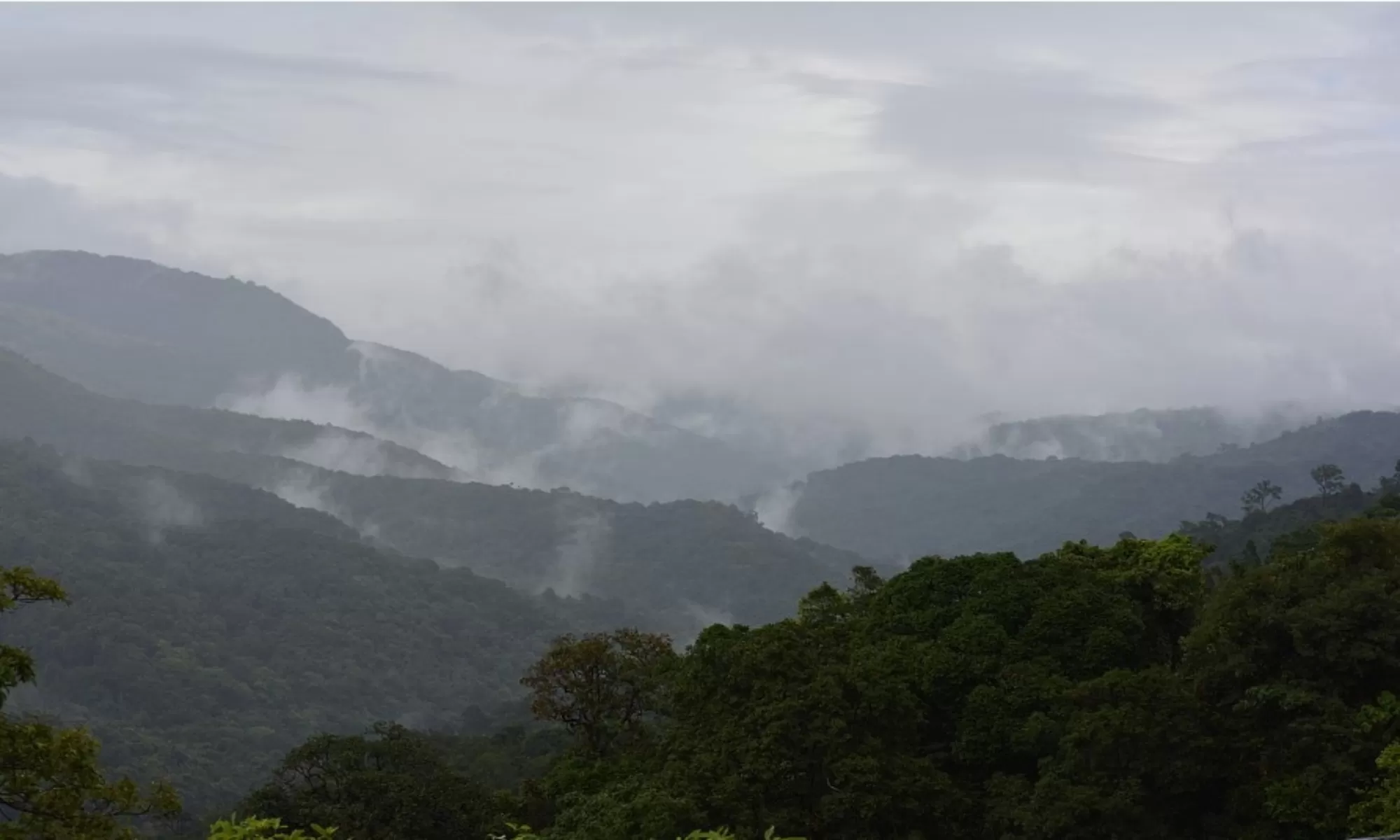 Top 15 Things To Do In Sakleshpur Feature Image 1