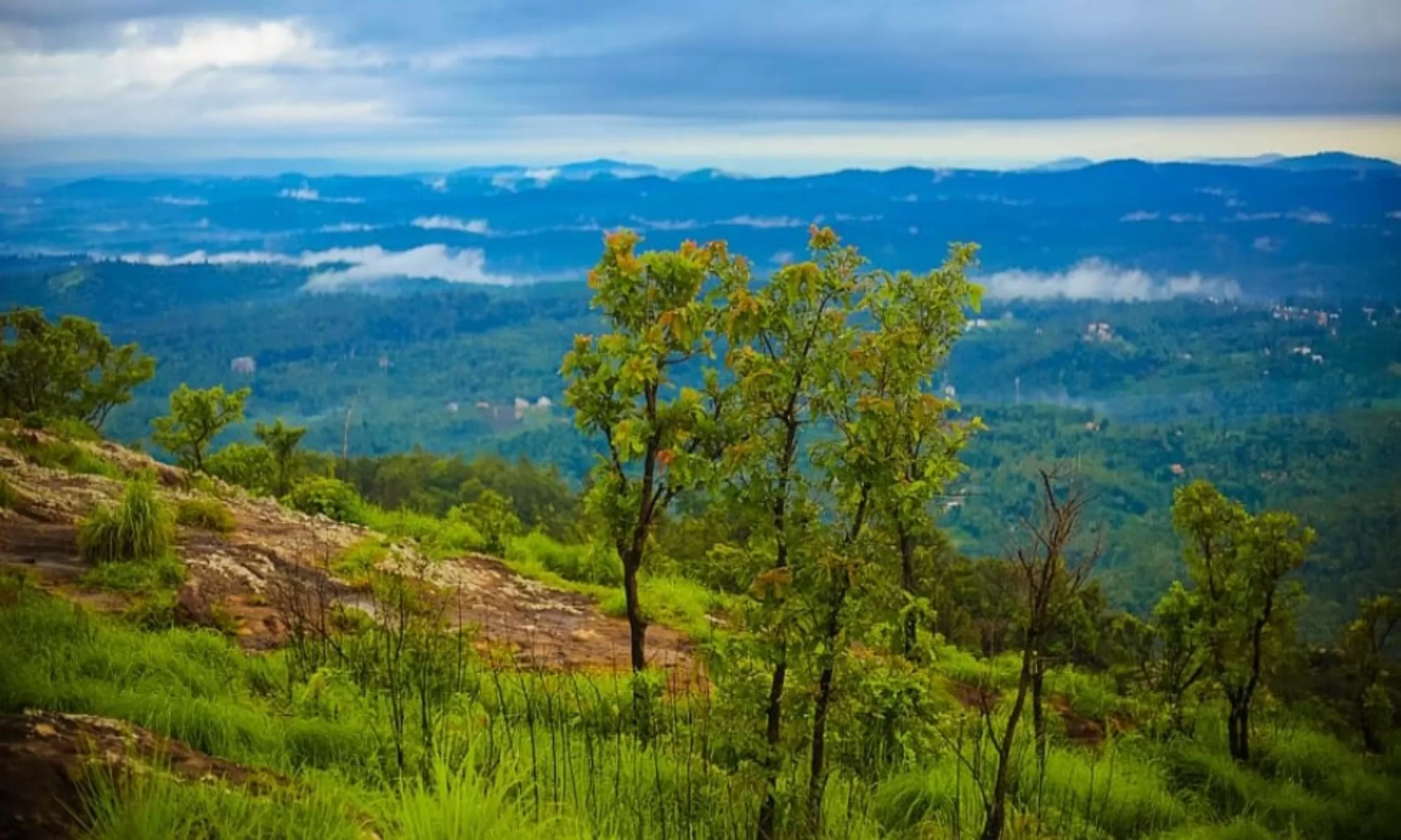 Top 15 Things To Do In Wayanad Feature Image 1