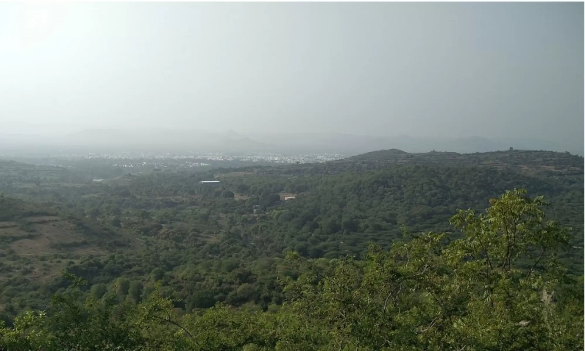 things to do in Yelagiri