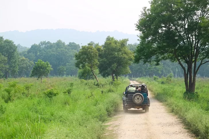 Corbett National Park 1