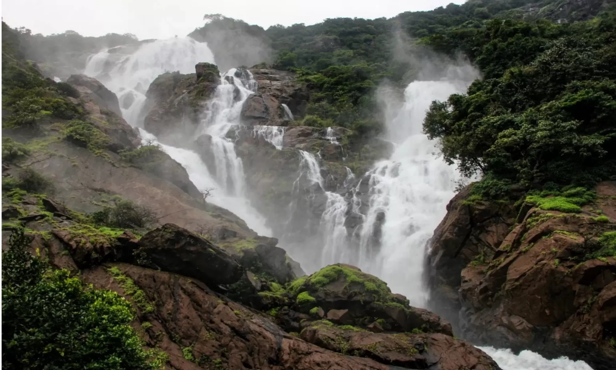 Top 15 Things To Do In Dudhsagar Feature Image 2