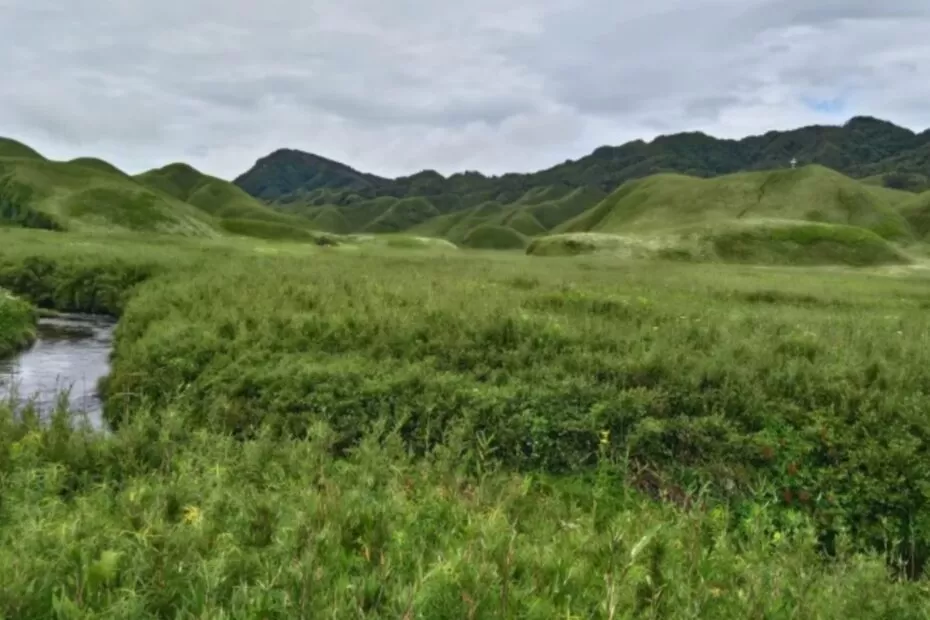 Dzukou Valley