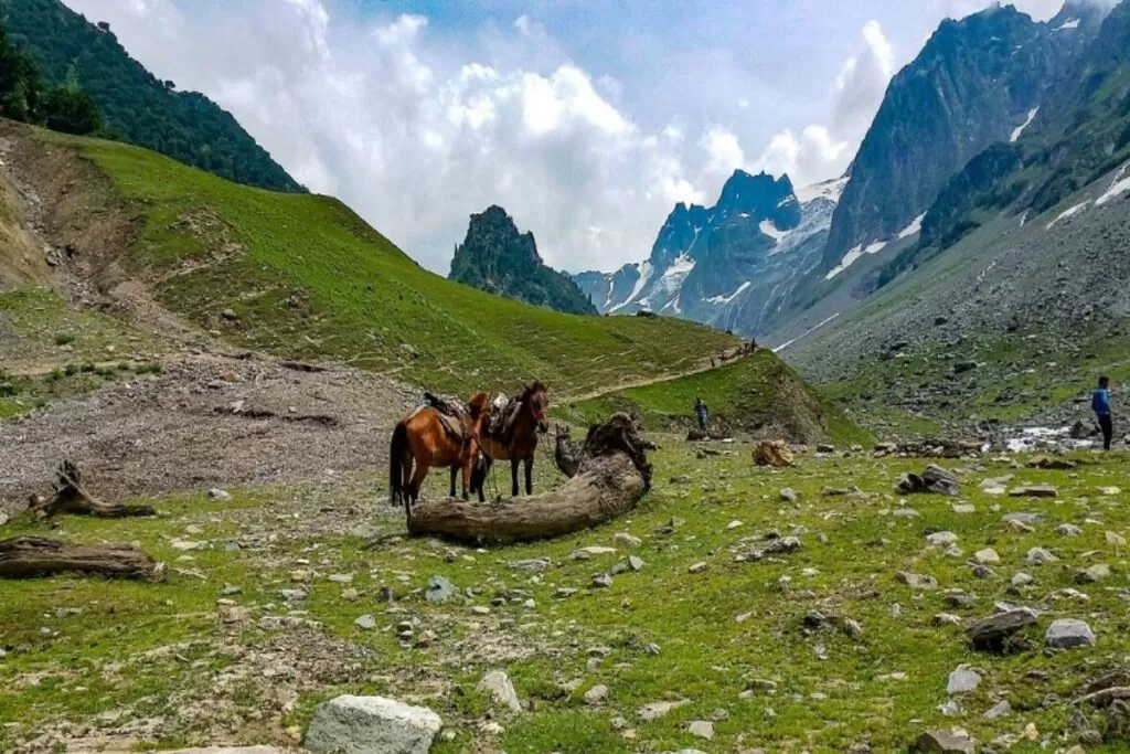 1. Sonmarg